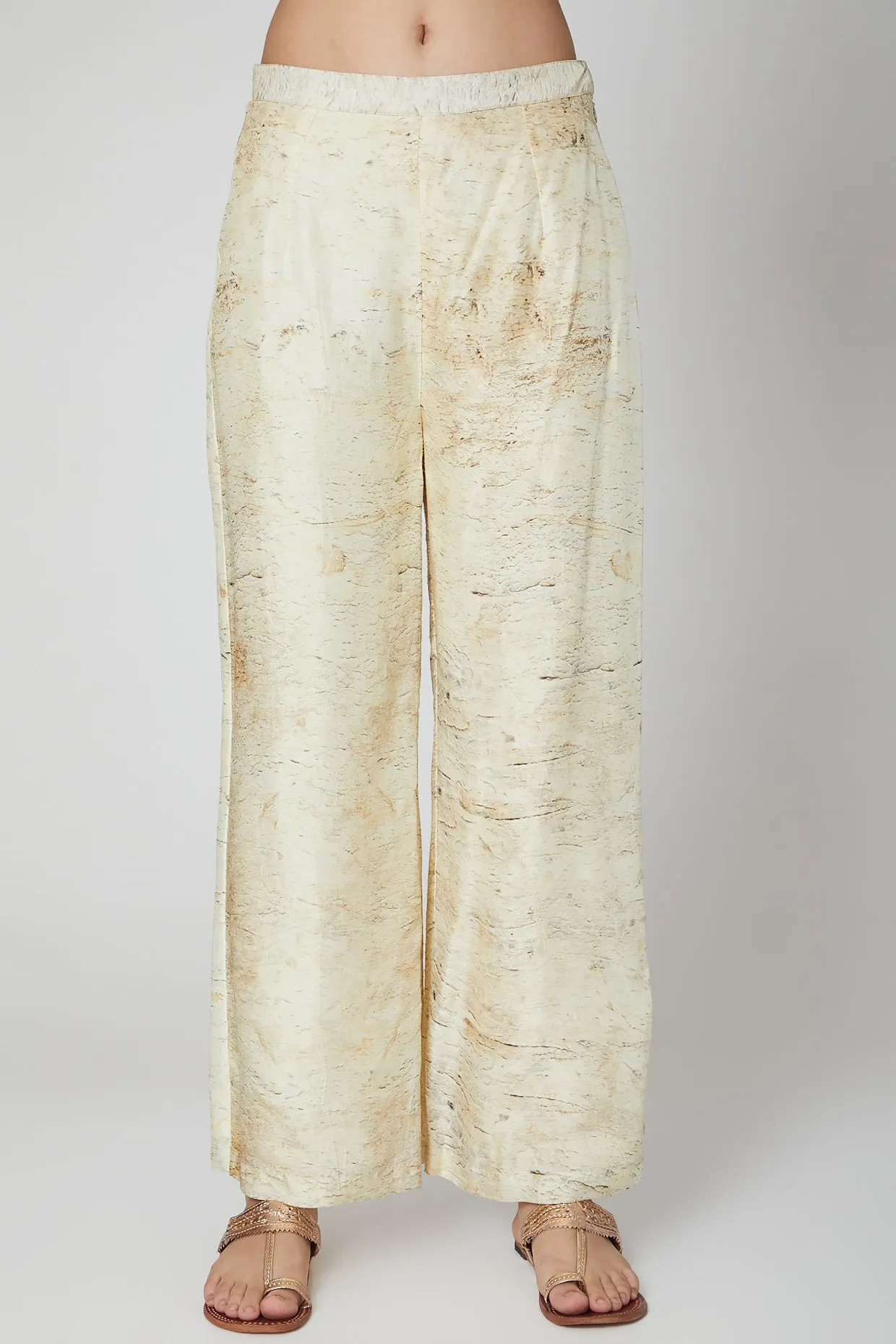 Brown & Beige Shirt With Pants