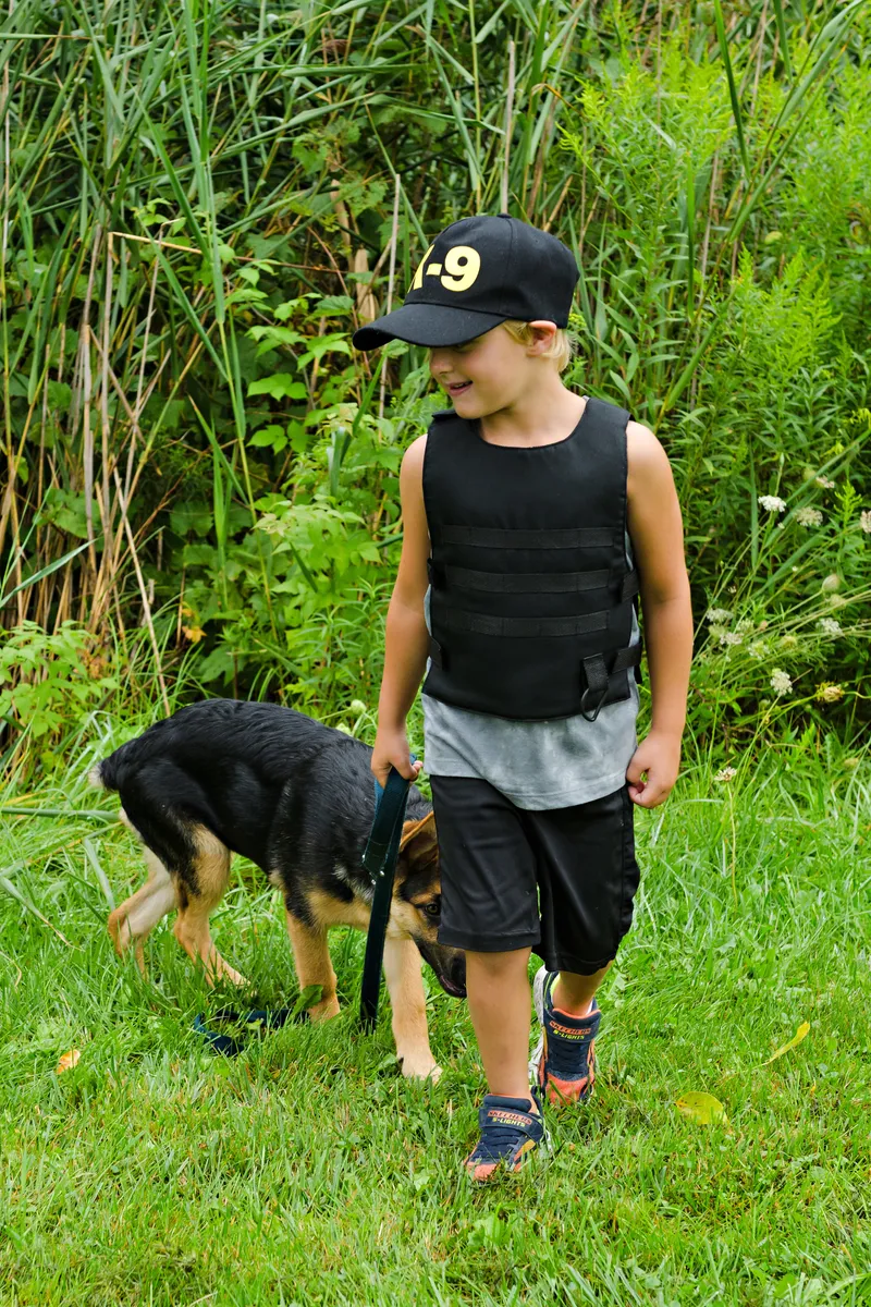 Great Pretenders K9 Unit Police Set, Vest, Hat & Plush Puppy, Size 3-4