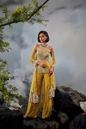 Layered Pants With Sheer Kurta And Sequin Work Stole