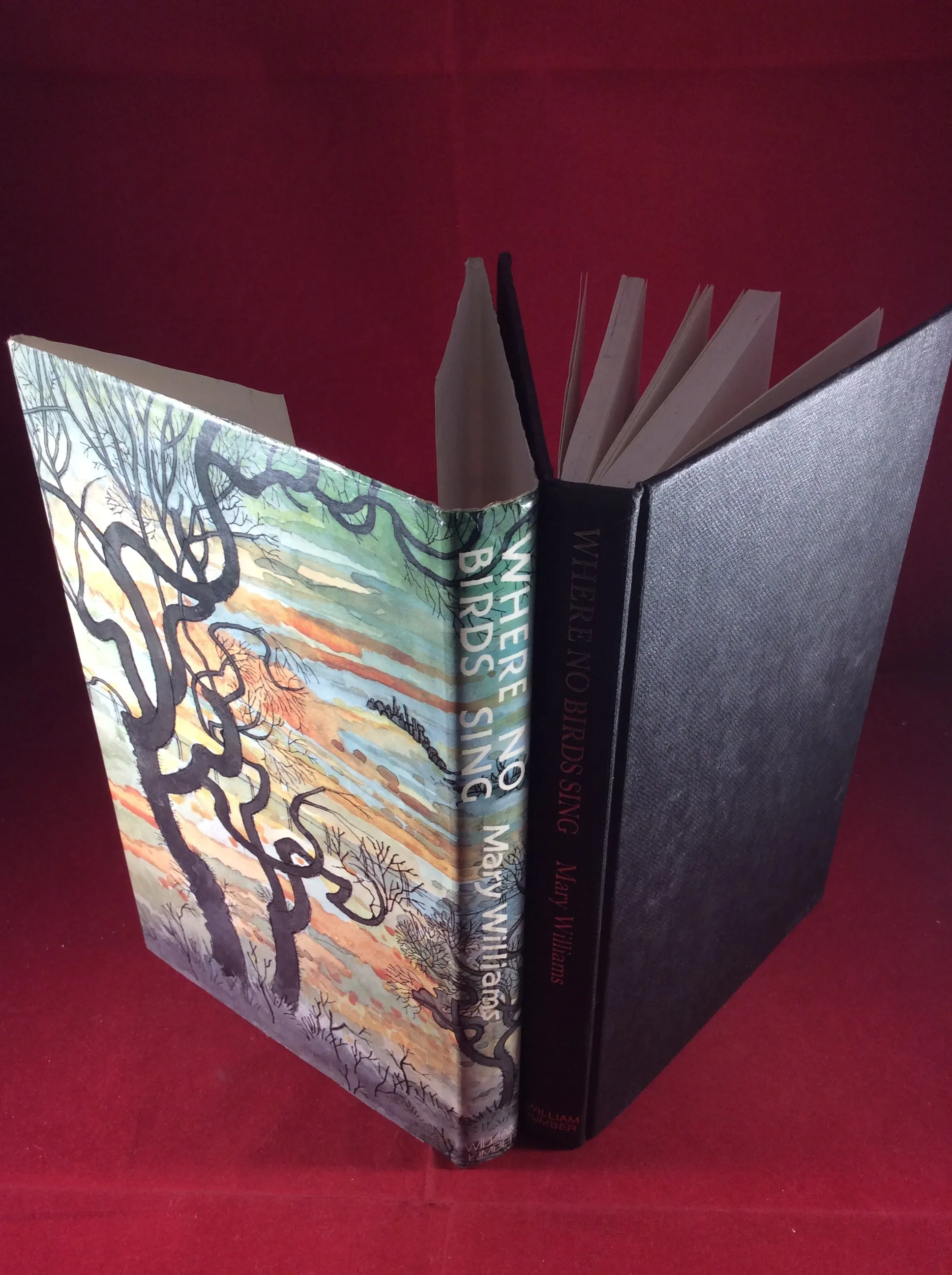 Mary Williams, Where No Birds Sing: Stories of the Macabre, William Kimber, 1978, First Edition
