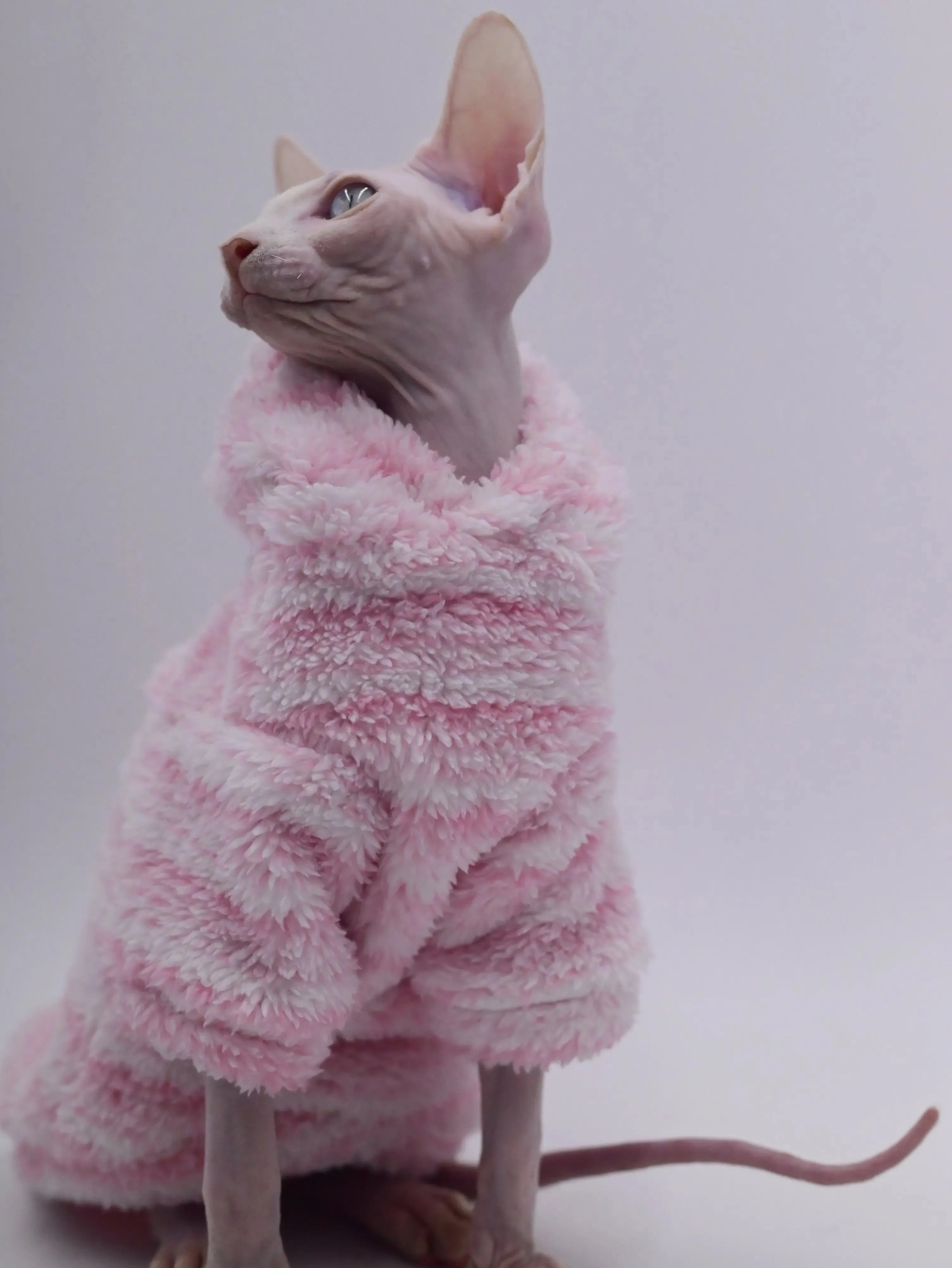 Mink Fleece Cardigan Jacket for Sphinx