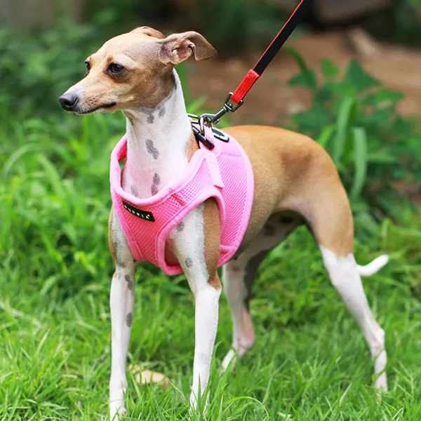 Puppia Soft Vest Harness Purple