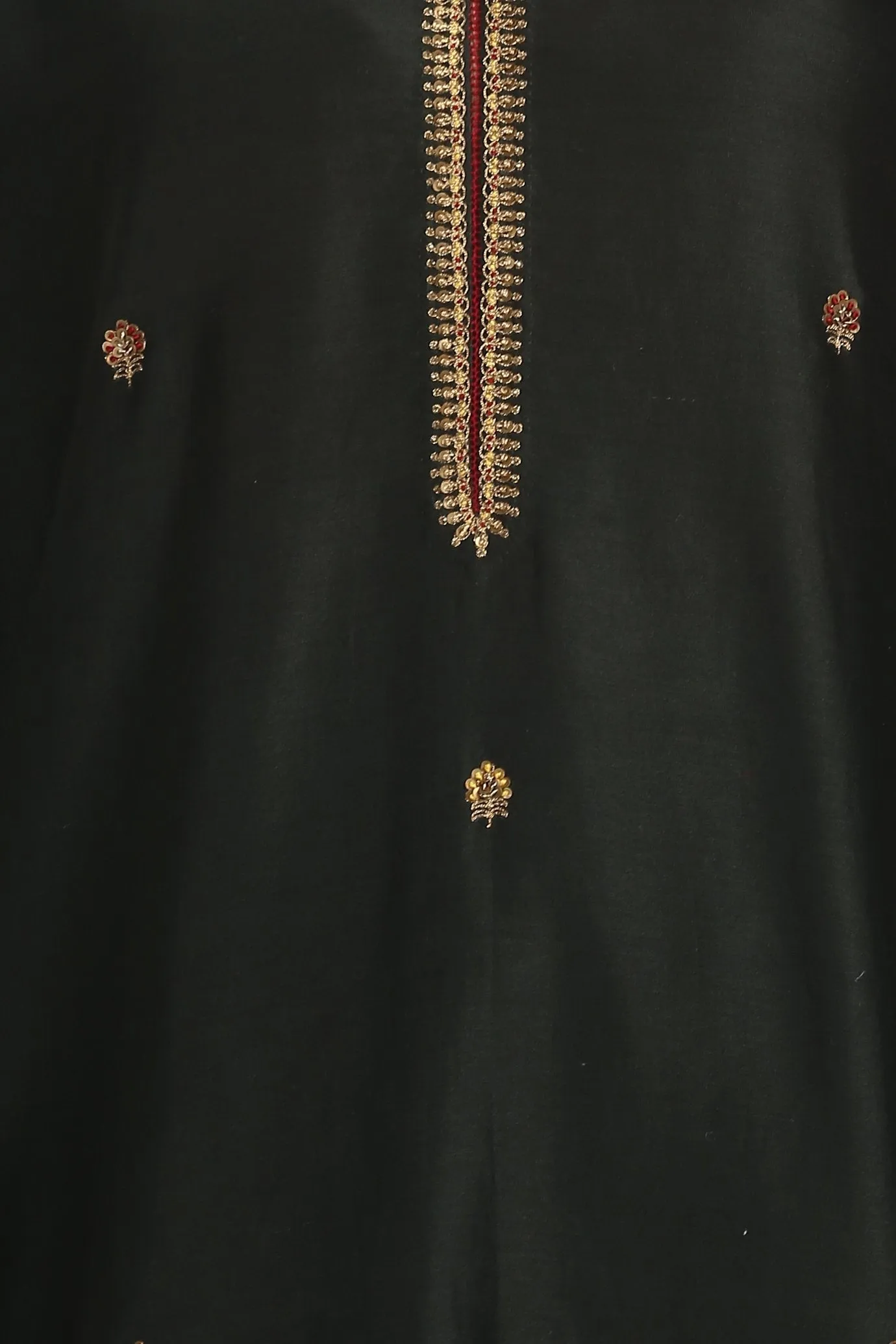Shyama Butidar Reham Kurta With Pants and Organza Silk Zardozi Dupatta