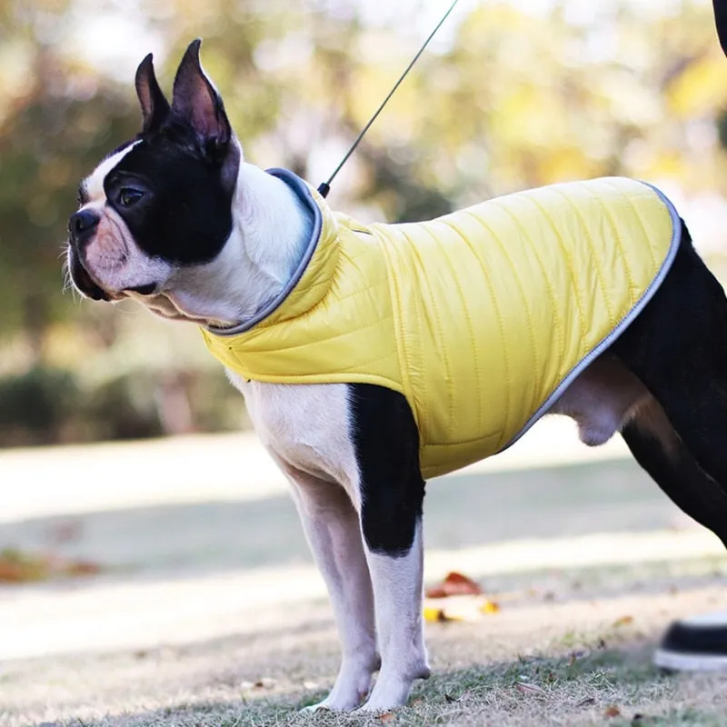 Winter Double-sided Dog Vest