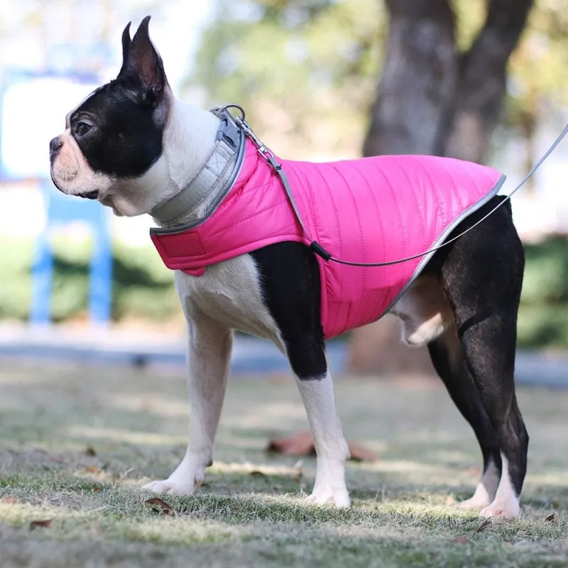 Winter Double-sided Dog Vest