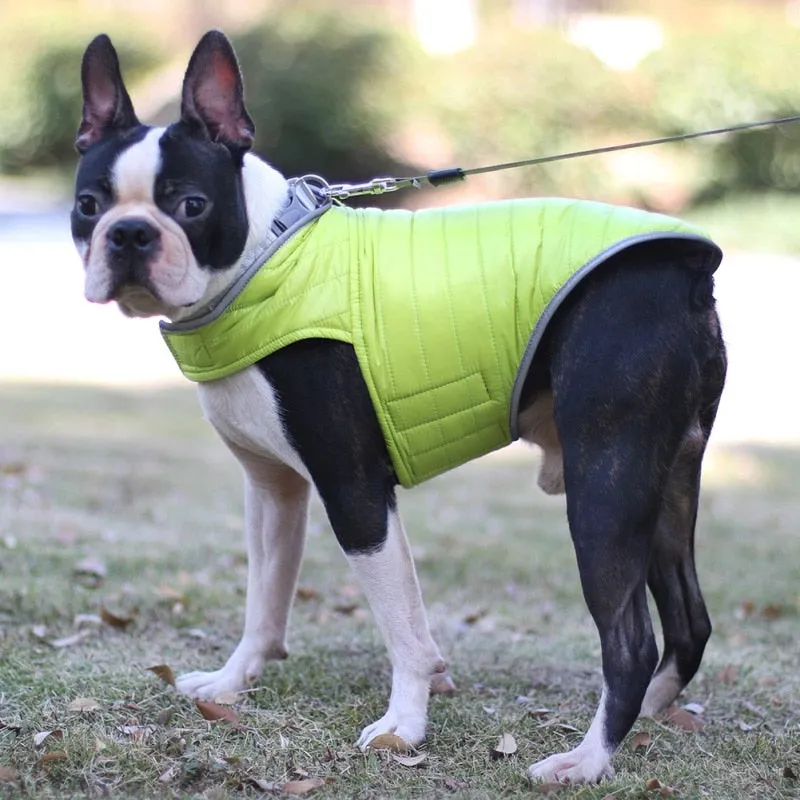 Winter Double-sided Dog Vest
