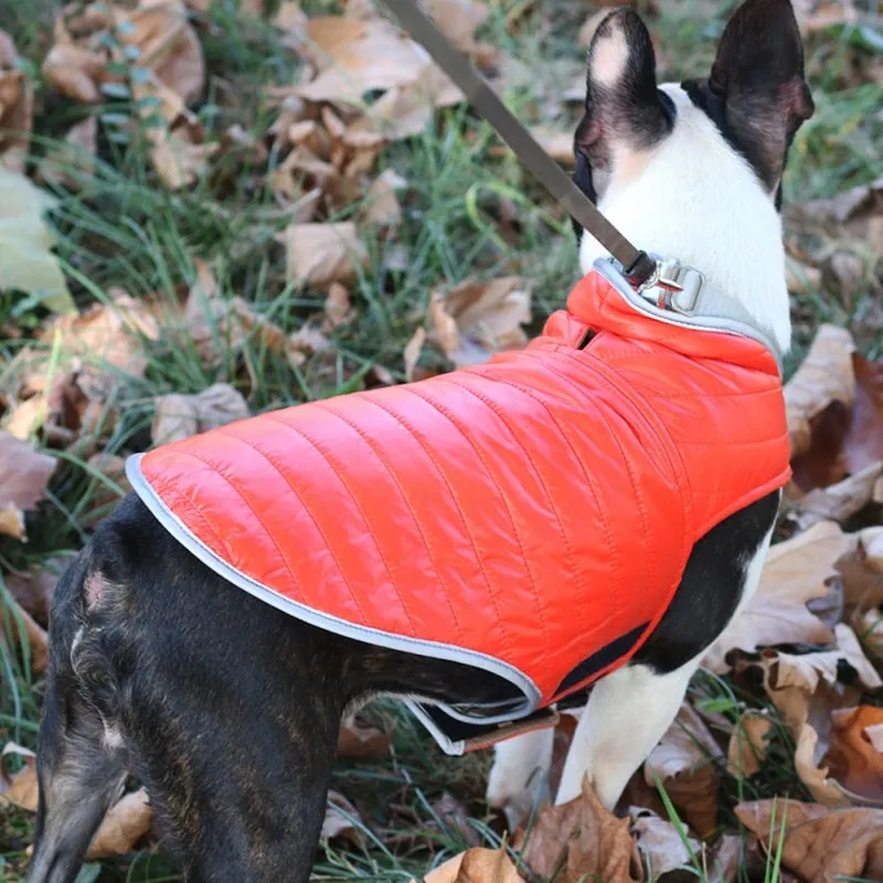 Winter Double-sided Dog Vest