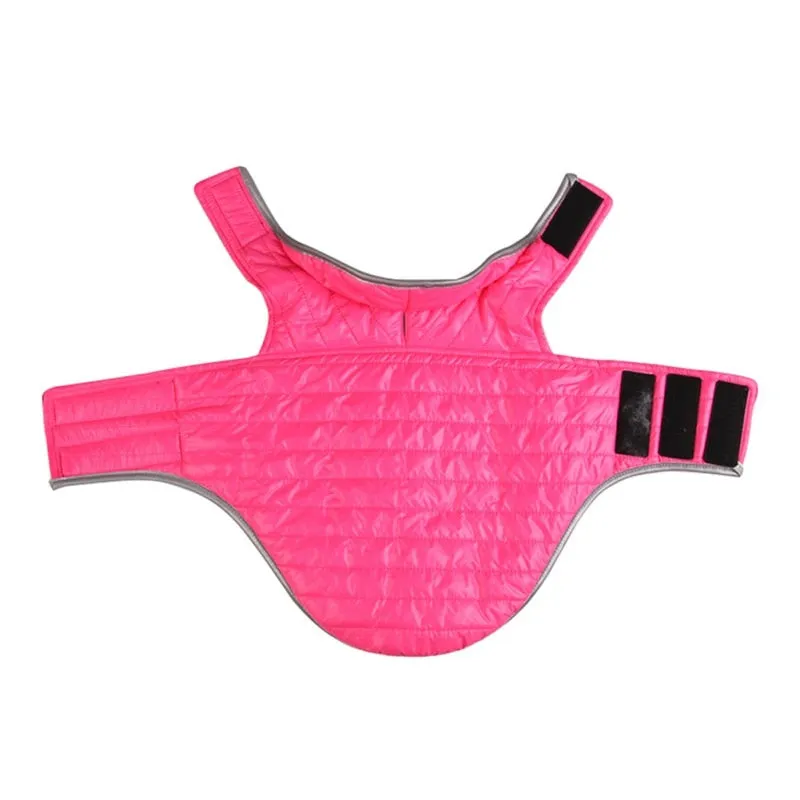 Winter Double-sided Dog Vest