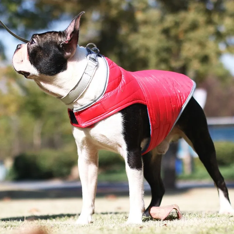Winter Double-sided Dog Vest