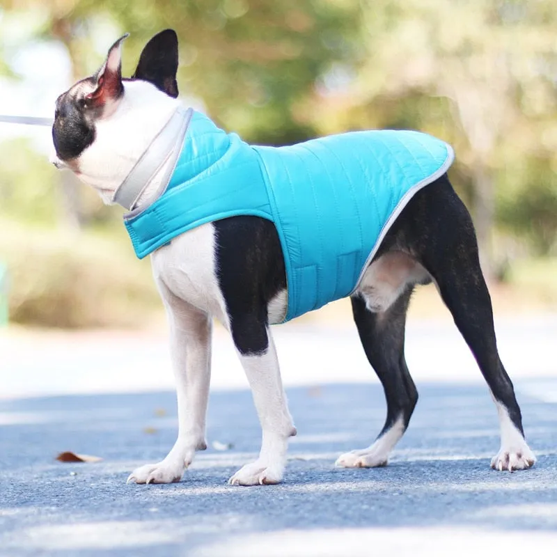 Winter Double-sided Dog Vest