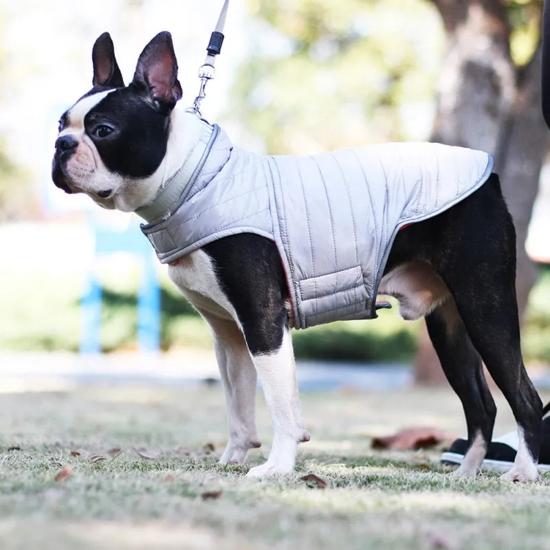 Winter Double-sided Dog Vest