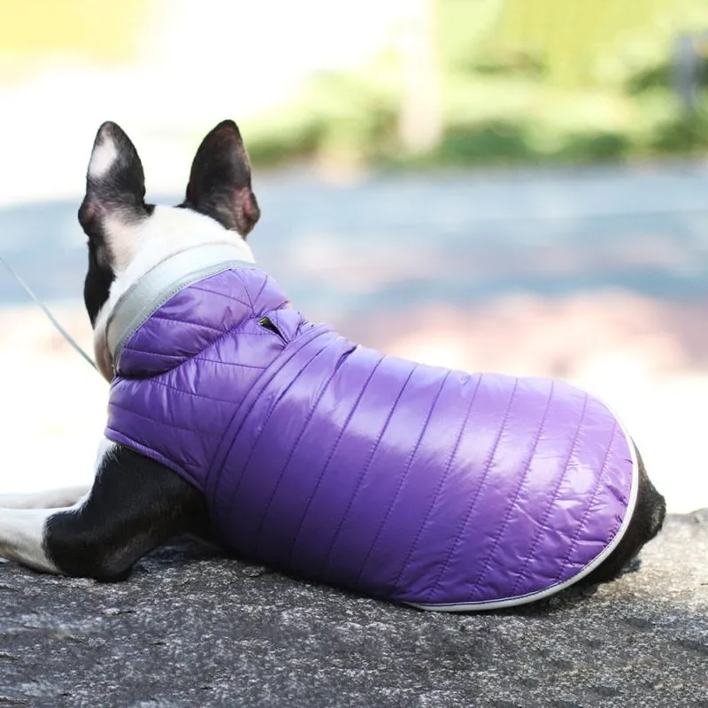 Winter Double-sided Dog Vest