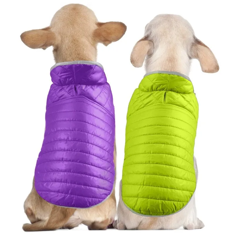 Winter Double-sided Dog Vest