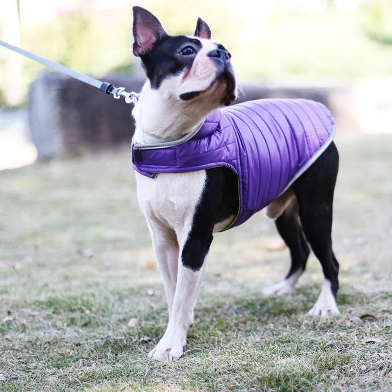 Winter Double-sided Dog Vest