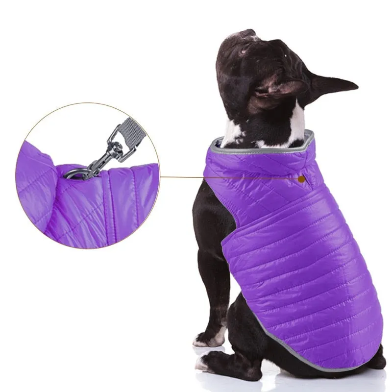 Winter Double-sided Dog Vest